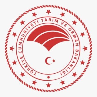 WhatsApp Image 2025-12-11 at 11.18.25