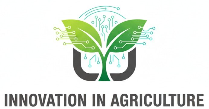 WhatsApp Image 2025-12-11 at 11.18.59